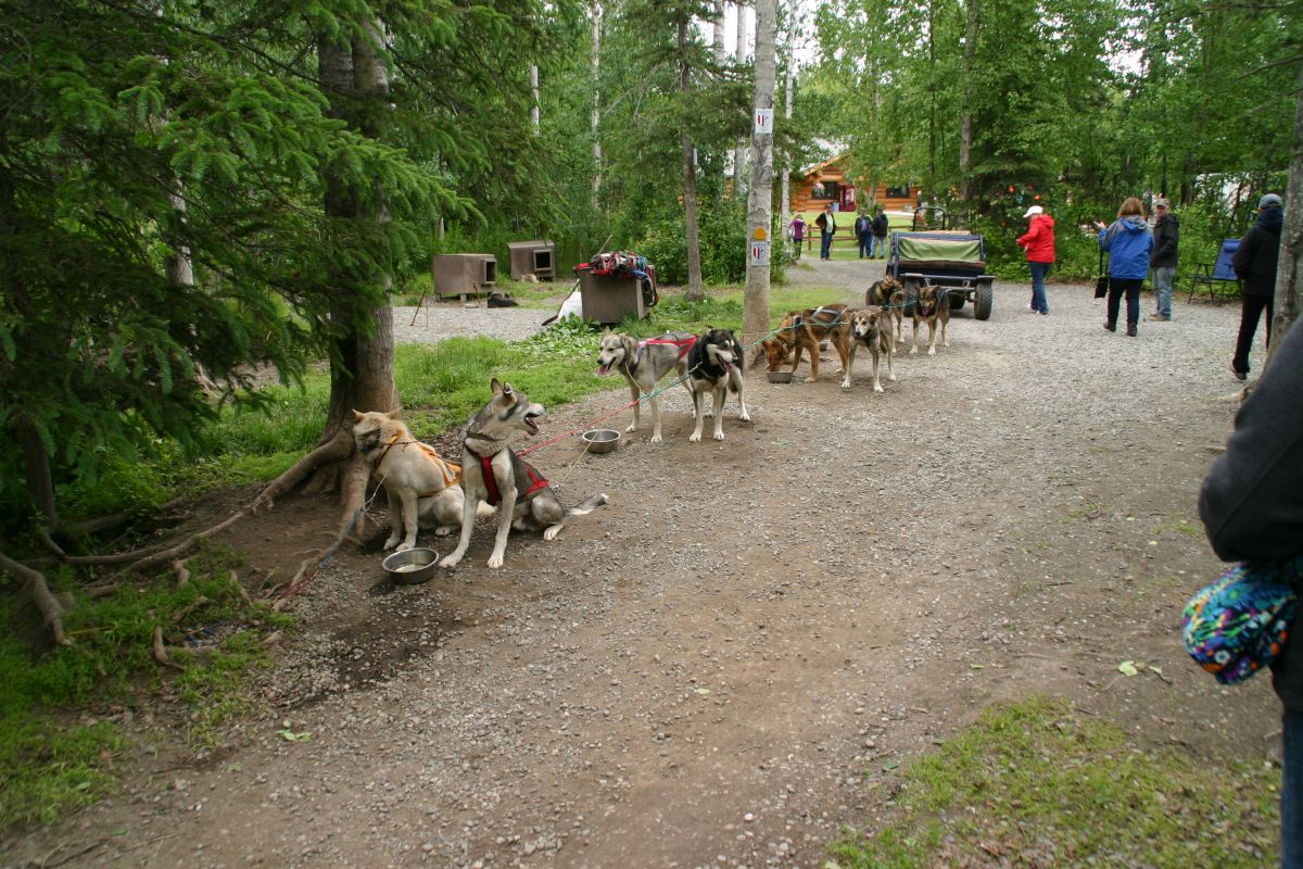 anchorage alaska cruise